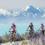 Aktivitas Seru Dan Liburan Menyenangkan Saat Musim Semi