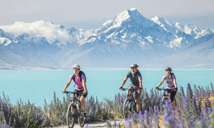 Aktivitas Seru Dan Liburan Menyenangkan Saat Musim Semi