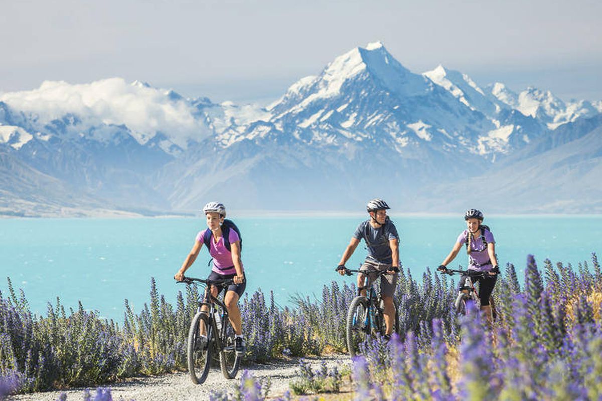 Aktivitas Seru dan Liburan Menyenangkan Saat Musim Semi