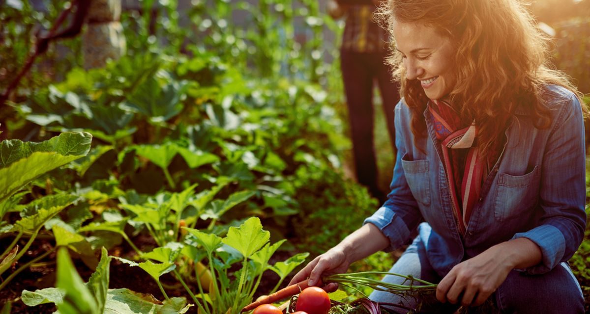 Bunga Sebagai Terapi Manfaat Berkebun Untuk Kesehatan Mental