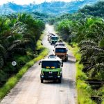 Industri Sawit Indonesia: Pilar Ekonomi an Sumber Kontroversi