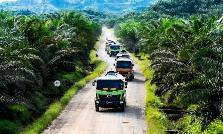 Industri Sawit Indonesia: Pilar Ekonomi an Sumber Kontroversi