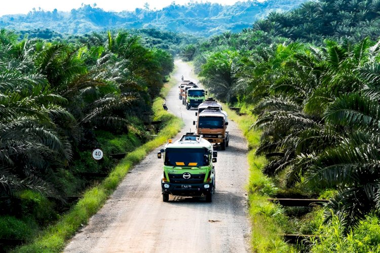 Industri Sawit Indonesia: Pilar Ekonomi an Sumber Kontroversi