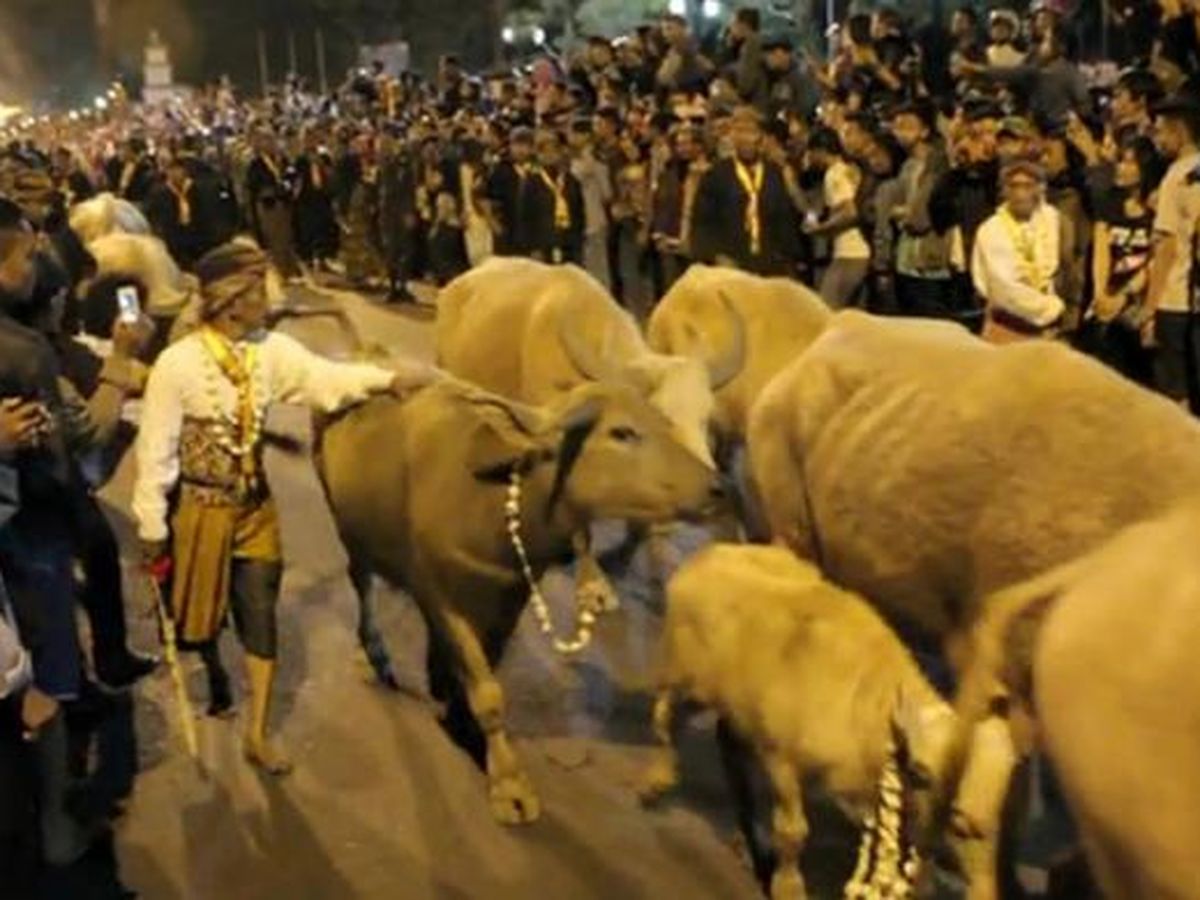 Kota Budaya Solo Dengan Pesona Tradisi Jawa Yang Kental