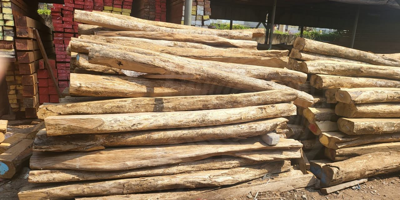 Manfaat Kayu Dalam Kehidupan Sehari-Hari