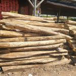 Manfaat Kayu Dalam Kehidupan Sehari-Hari