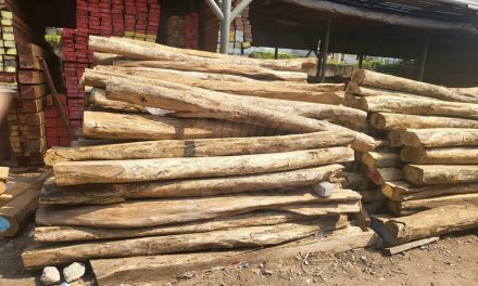 Manfaat Kayu Dalam Kehidupan Sehari-Hari