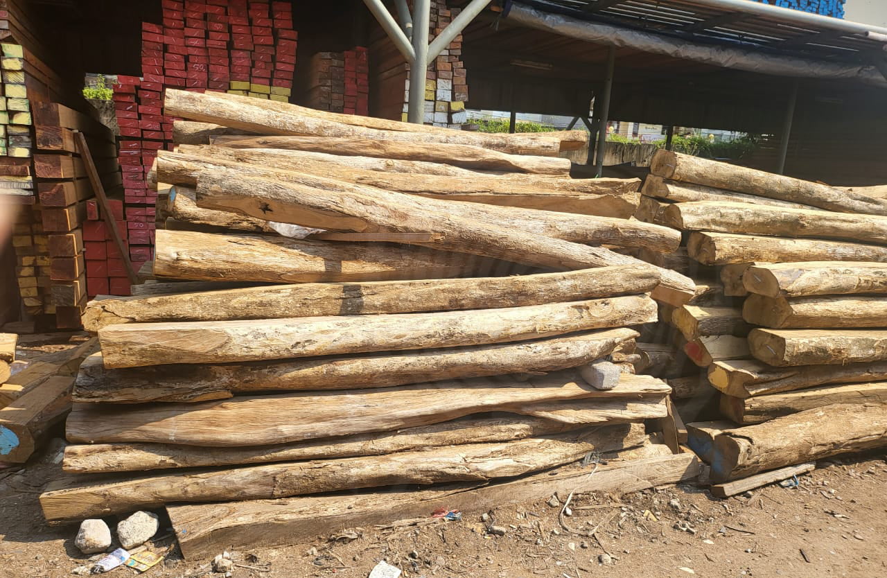 Manfaat Kayu Dalam Kehidupan Sehari-Hari