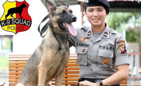 Peran Anjing K9 Dalam Penegakan Hukum Dan Keamanan