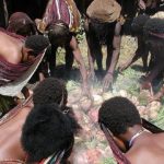 Suku Papua Masih Menjaga Tradisi Leluhur Di Era Modern