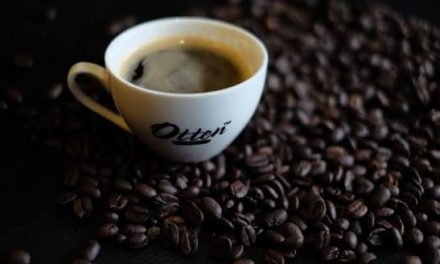 Mengenal Kopi Arabika: Sejarah, Dan Keistimewaan Di Dunia Kopi