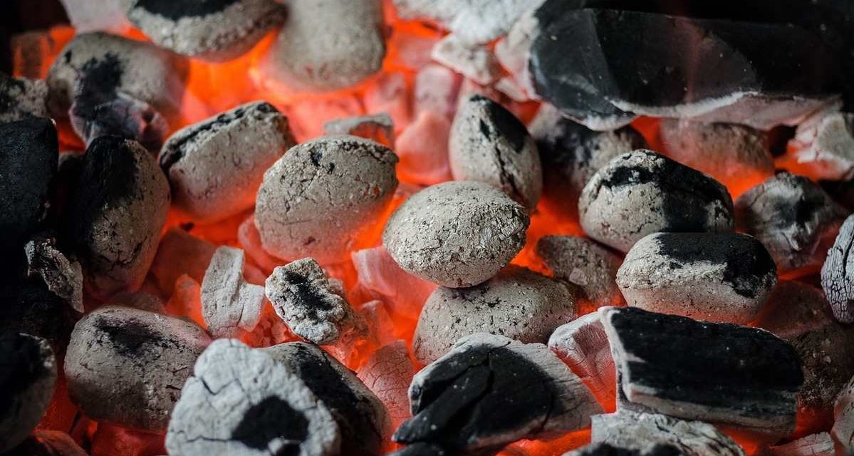 Proses Pembentukan Batubara, Dan Dampaknya Bagi Lingkungan