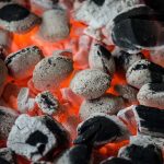 Proses Pembentukan Batubara, Dan Dampaknya Bagi Lingkungan