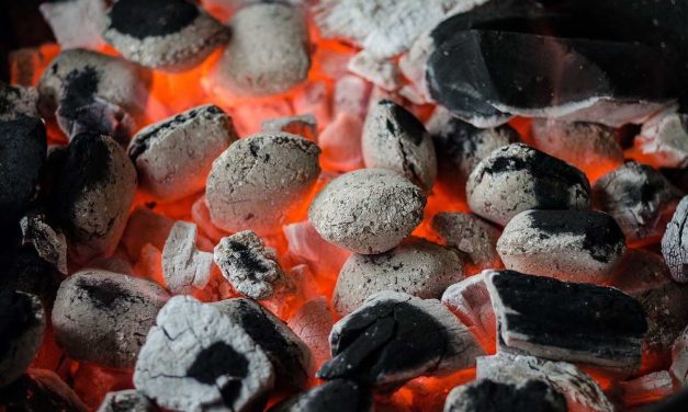 Proses Pembentukan Batubara, Dan Dampaknya Bagi Lingkungan