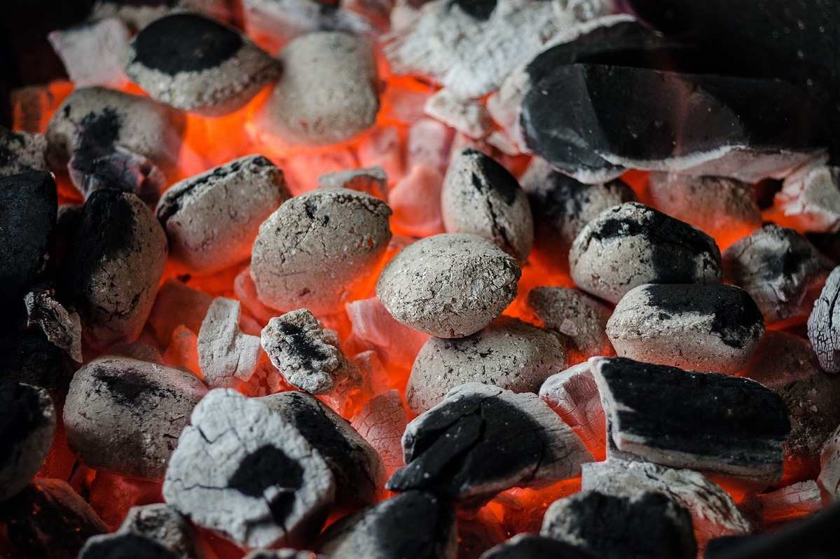 Proses Pembentukan Batubara, Dan Dampaknya bagi Lingkungan