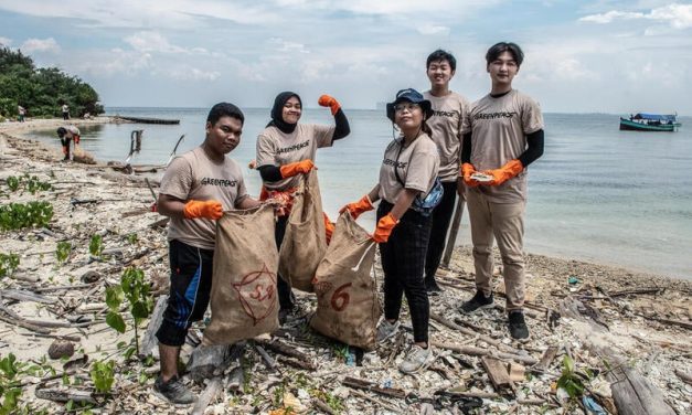 Greenpeace Indonesia: Peran Aktivis Mendorong Jaga Lingkungan