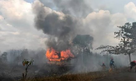 Kebakaran Hutan Di Papua: Penyebab Dan Dampak Kehidupan