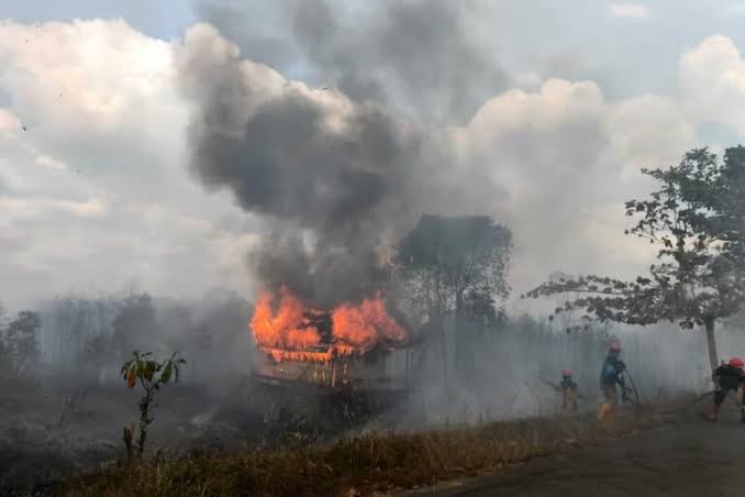 Kebakaran Hutan Di Papua: Penyebab Dan Dampak Kehidupan