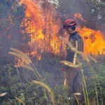 Krisis Kebakaran Hutan Indonesia: Tantangan Pemadaman Api
